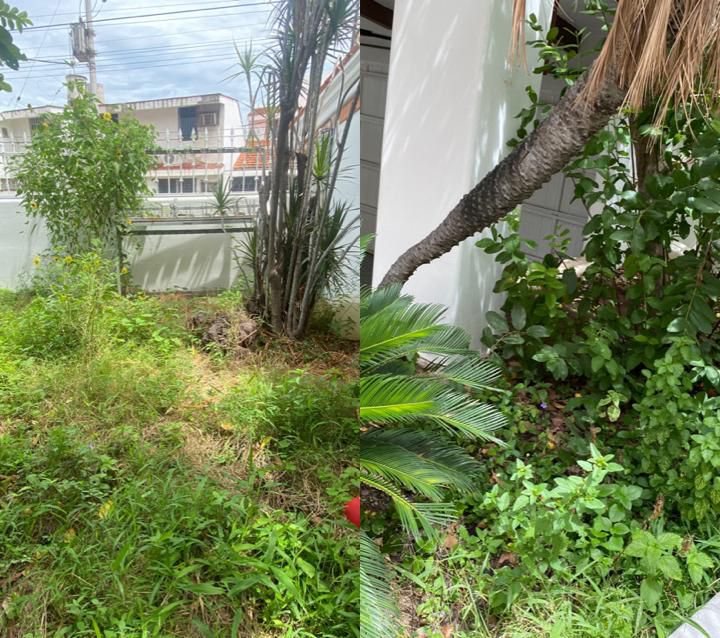 Jardín antes del servicio de jardinería