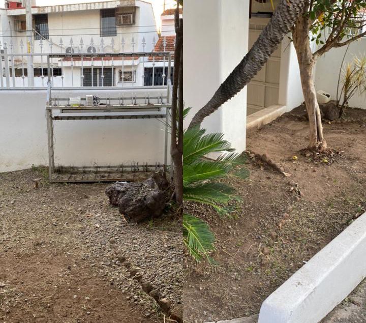 Jardín después del servicio de jardinería